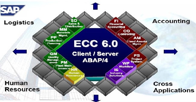 SAP ECC Support and Enhancement